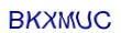 simple_captcha.jpg
